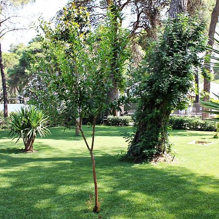 Il Melograno B&B Кастелланета-Марина Екстер'єр фото